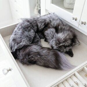 Luxurious Silver Fox Fur Stole Scarf
